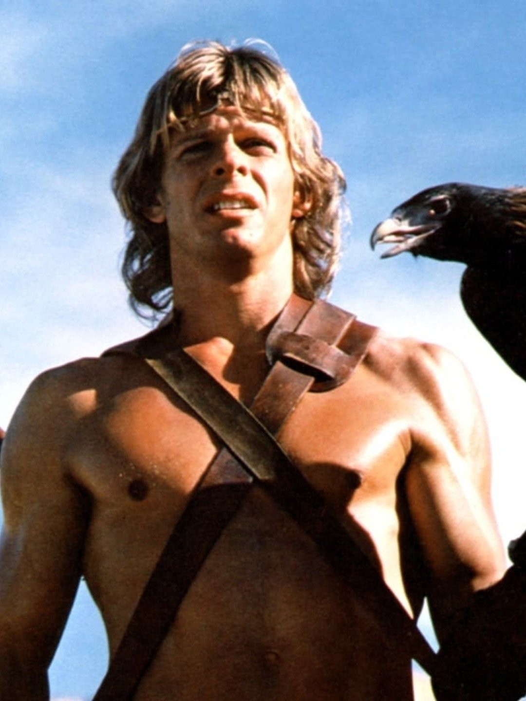 WATCH THE SERIES: Beastmaster – B&S About Movies